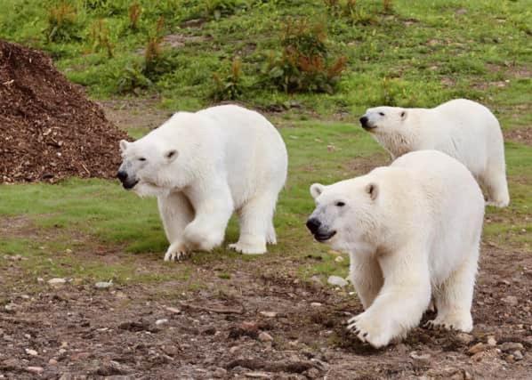 Holiday home Classy 2 Bed Peak District Barn Near Alton Towers, Polar Bears, Chatsworth House *