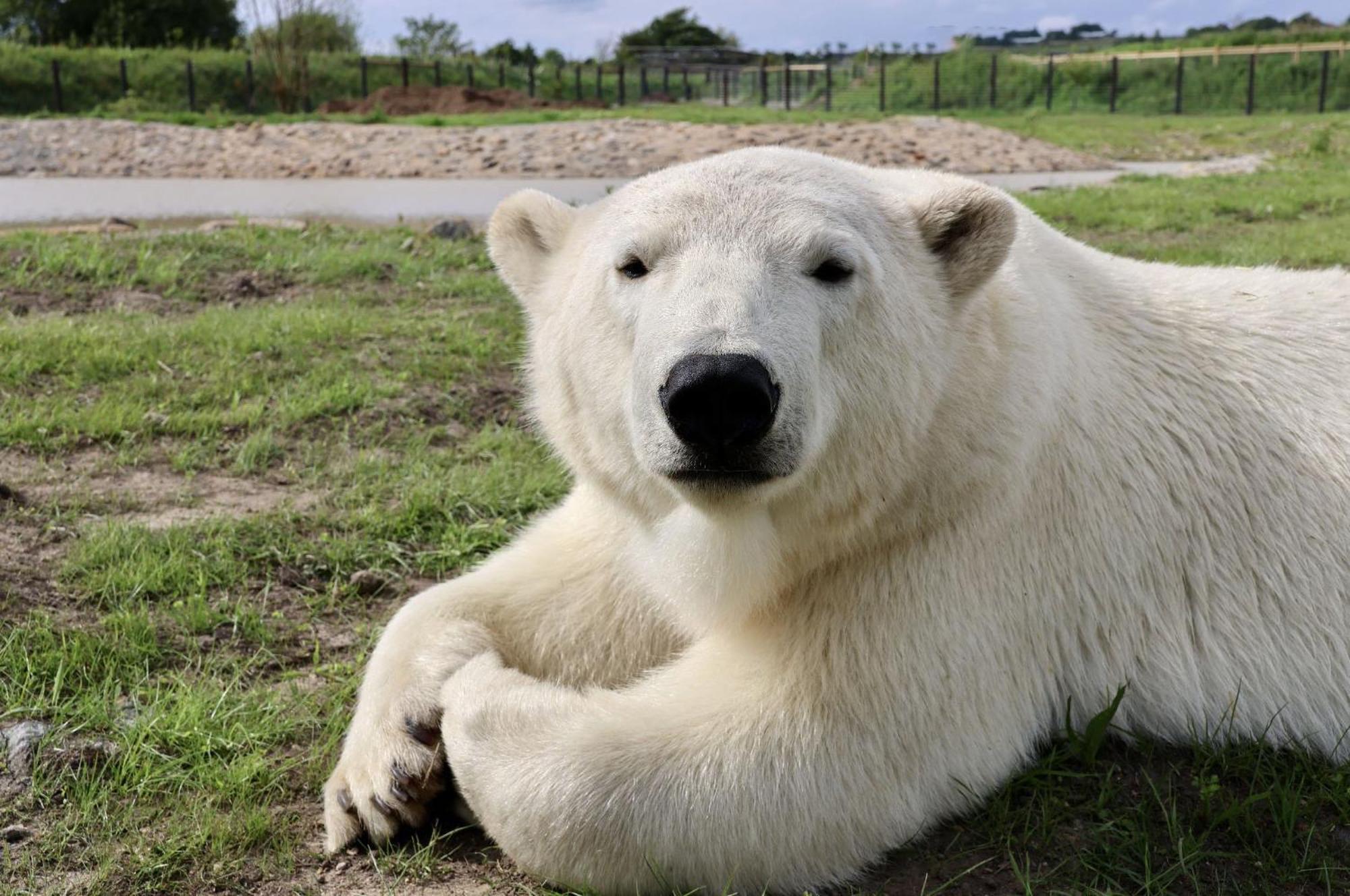Holiday home Classy 2 Bed Peak District Barn Near Alton Towers, Polar Bears, Chatsworth House *