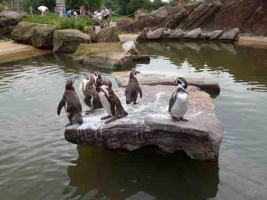 Casa de Férias Classy 2 Bed Peak District Barn Near Alton Towers, Polar Bears, Chatsworth House *